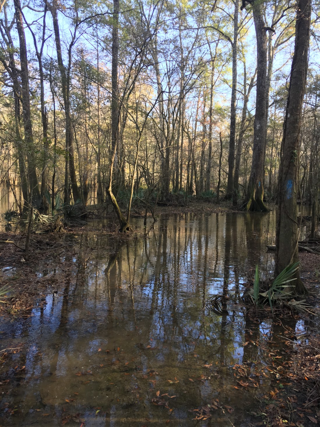 20161221_204918553_iOS