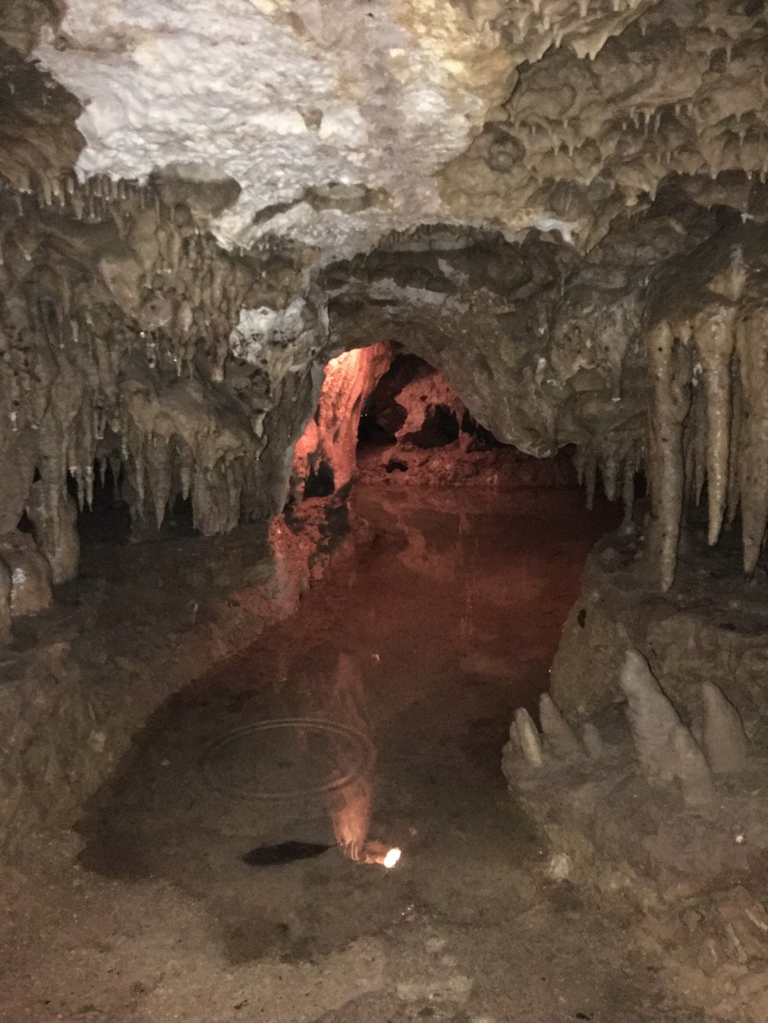 20161222_211220819_iOS