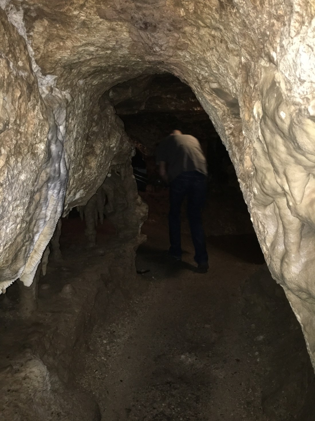 20161222_211251631_iOS