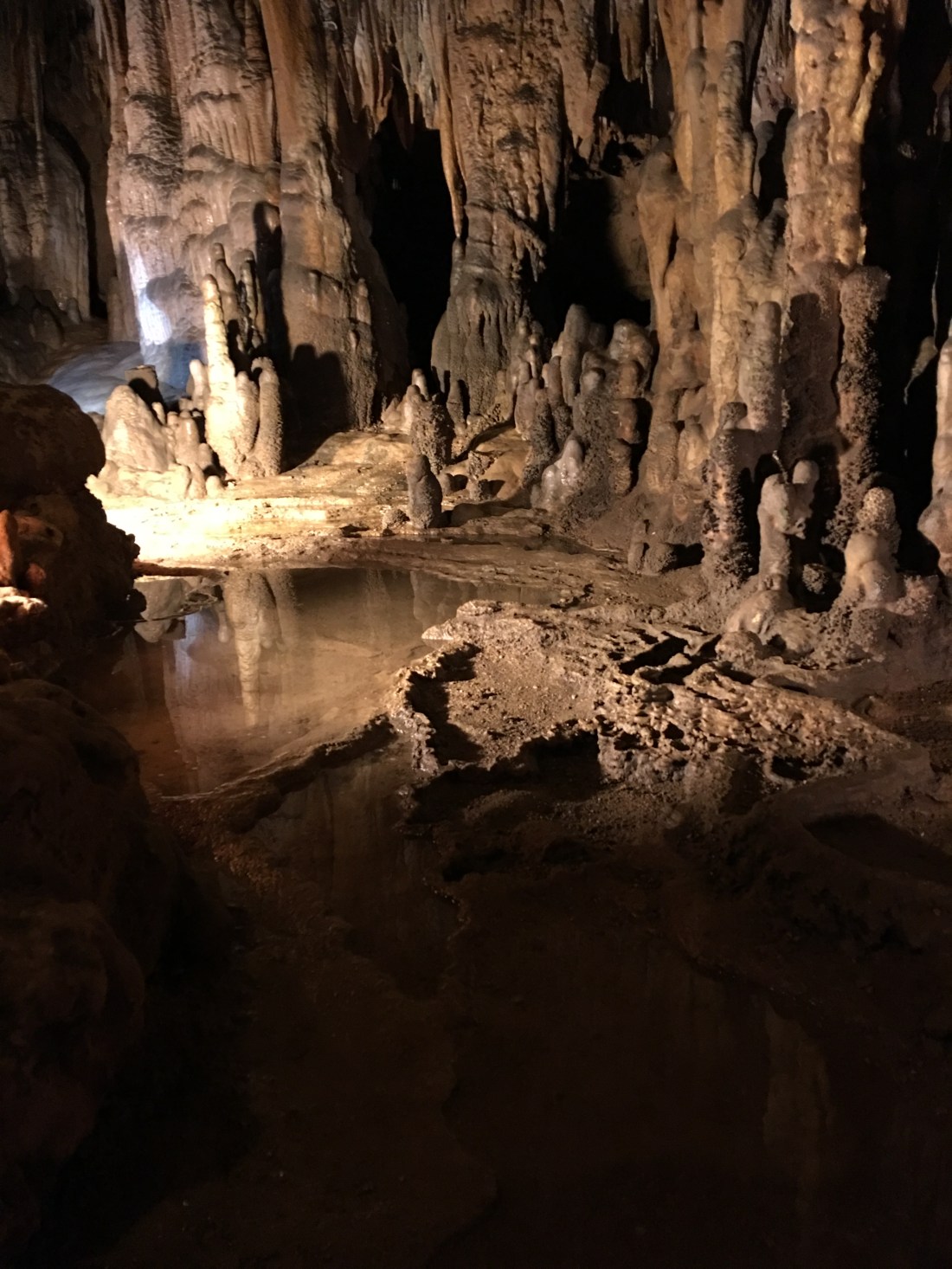 20161222_214758394_iOS