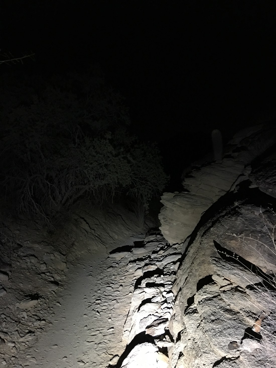 20180117_122506824_iOS