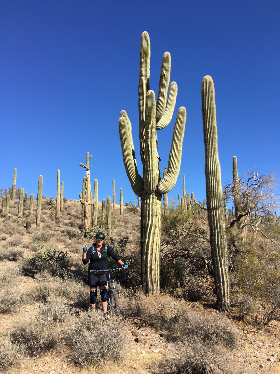 20180121_181829760_iOS