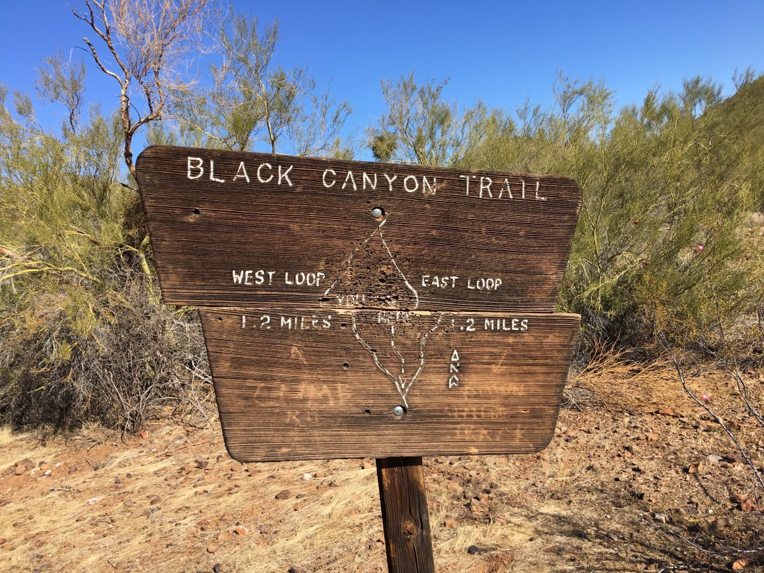 20180121_182918724_iOS