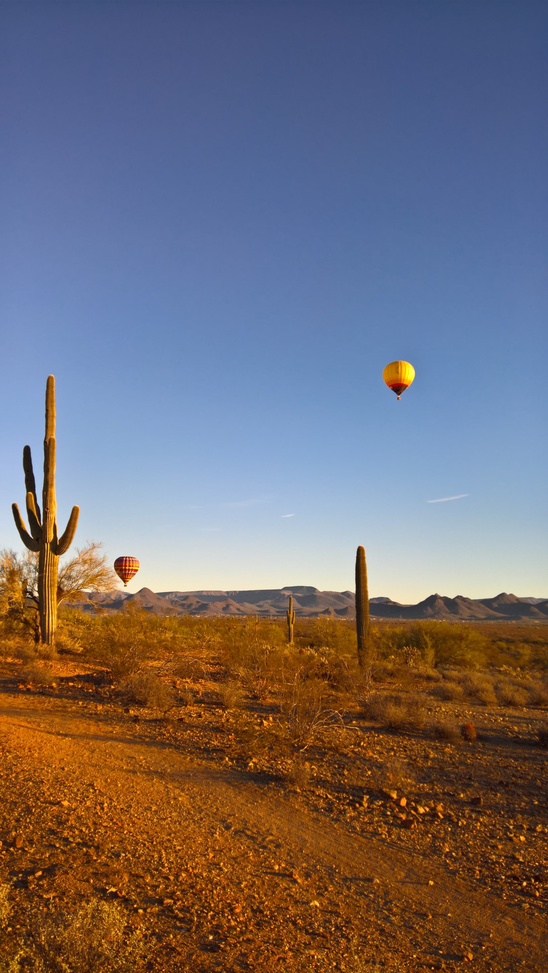 WP_20151213_07_55_34_Rich