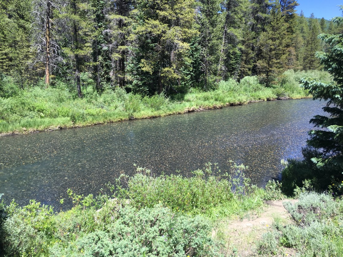 20160710_202430545_iOS