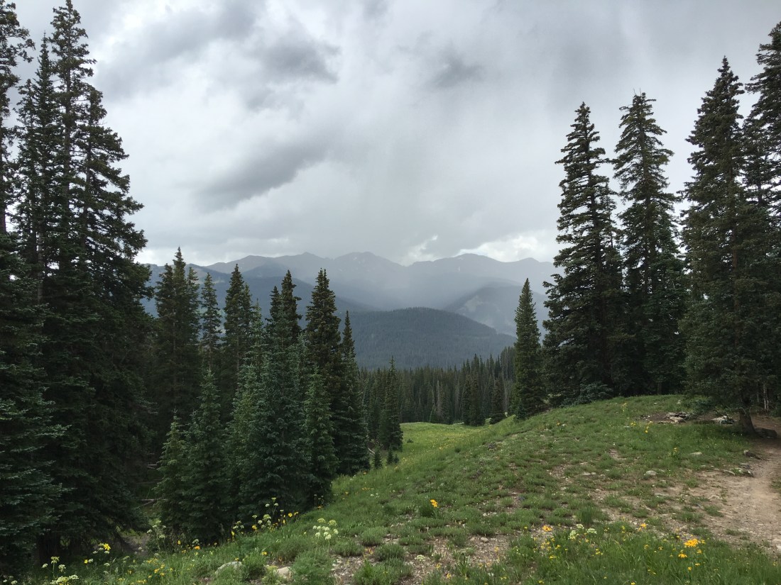 20160721_175124522_iOS