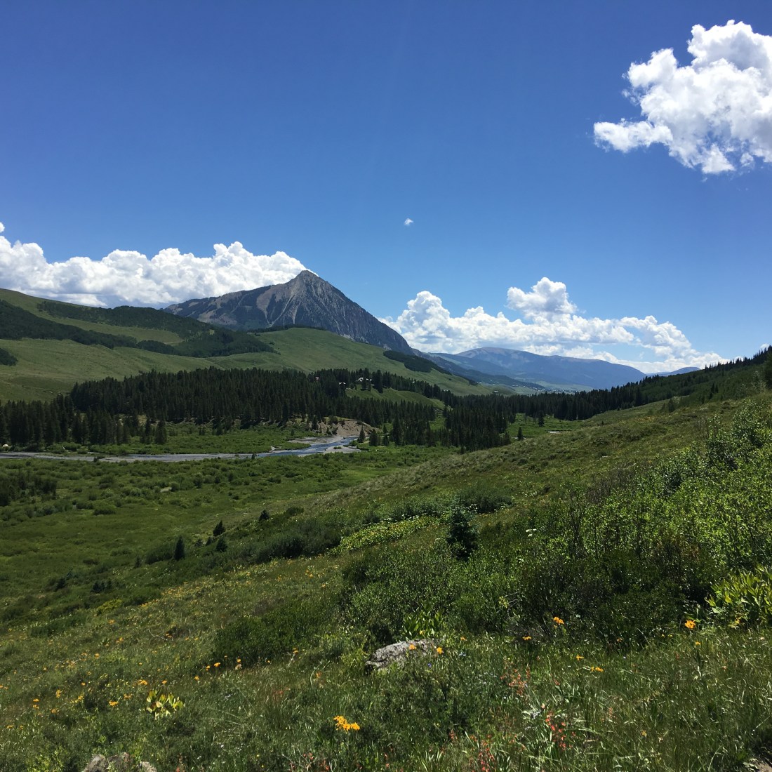 20160723_175734547_iOS