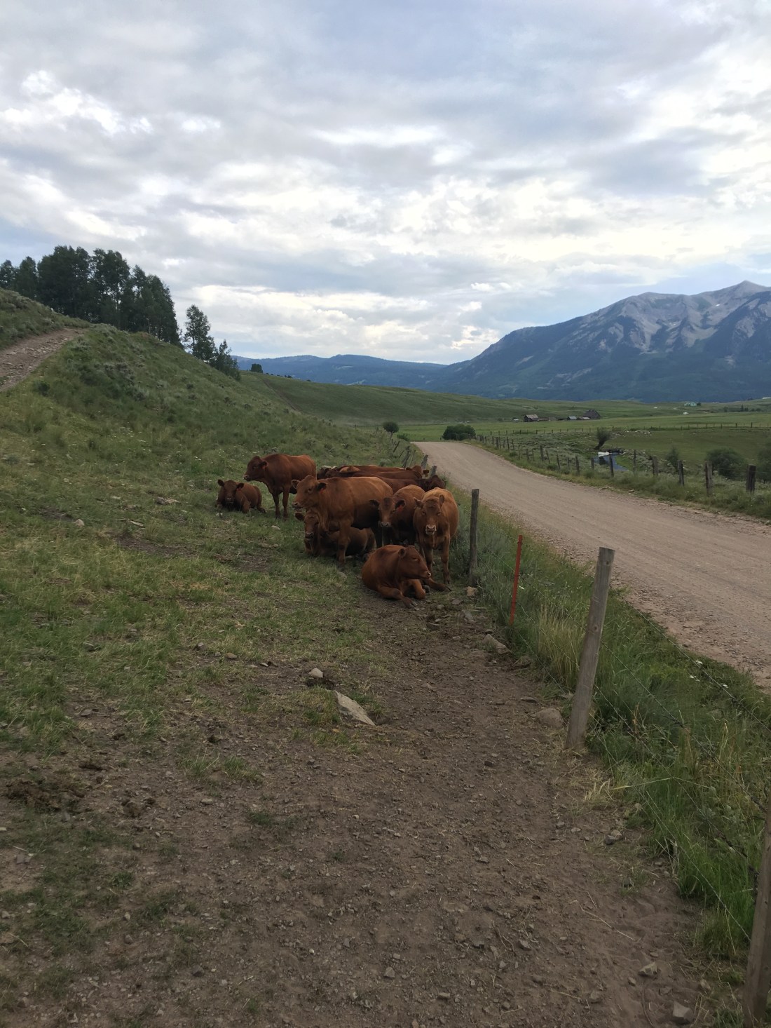 20160726_234719314_iOS