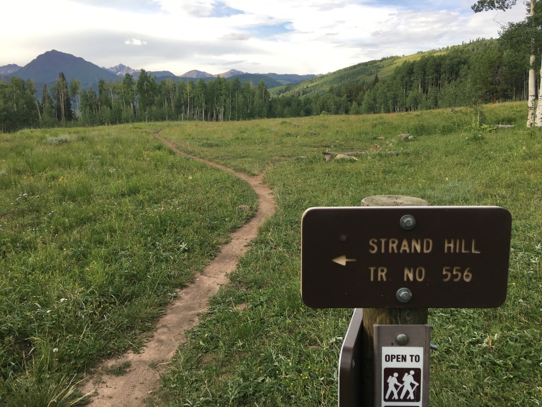 20160727_003026738_iOS