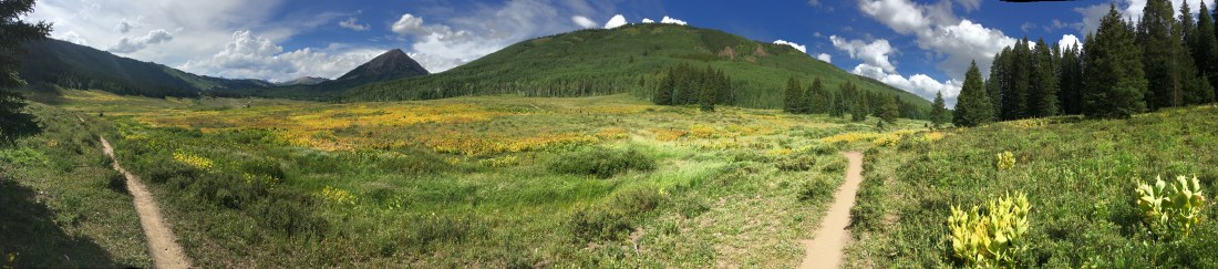 20160731_220315147_iOS