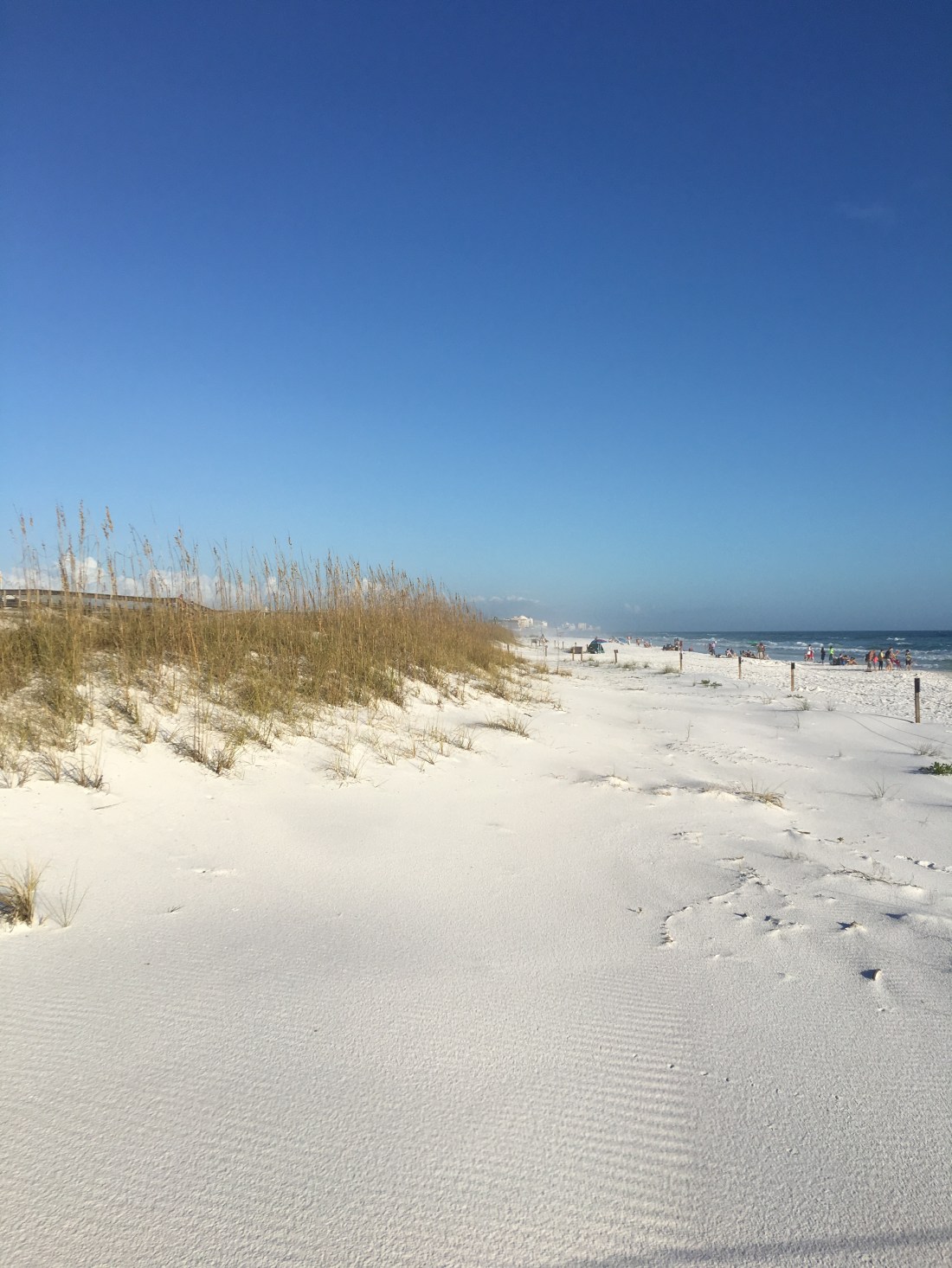 20161226_213010999_iOS