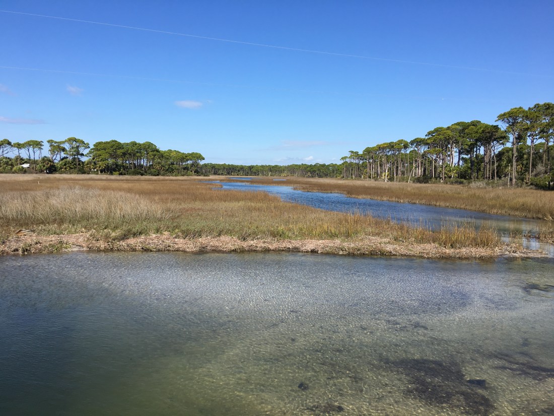 20170110_173031717_iOS