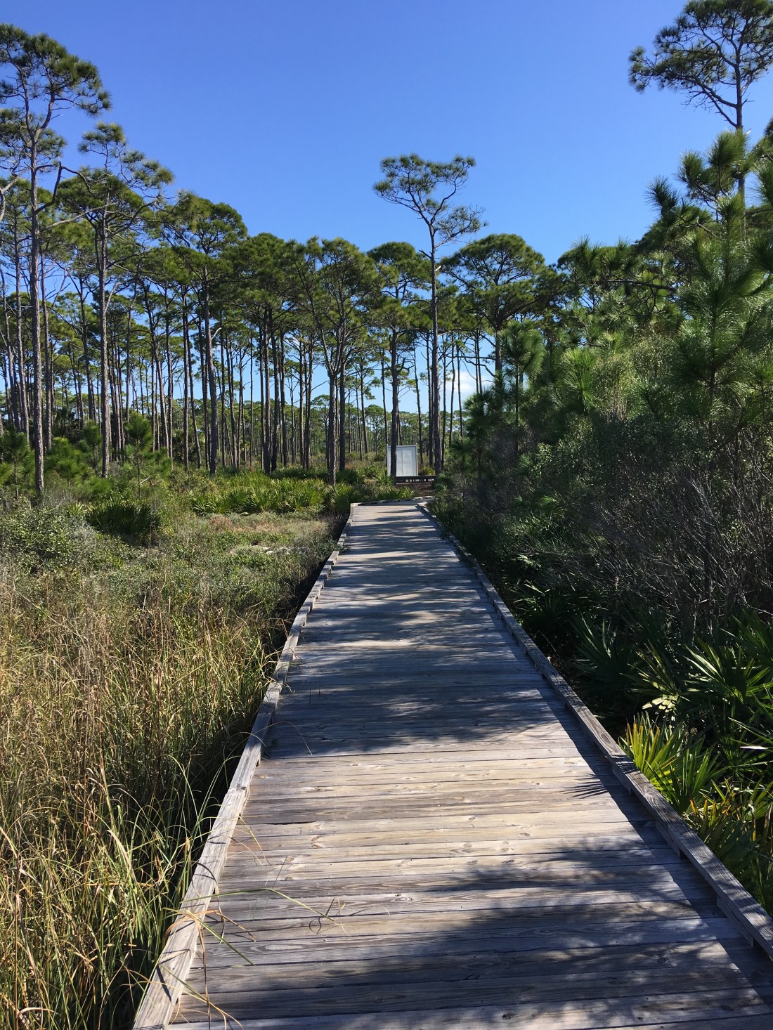 20170110_173841037_iOS