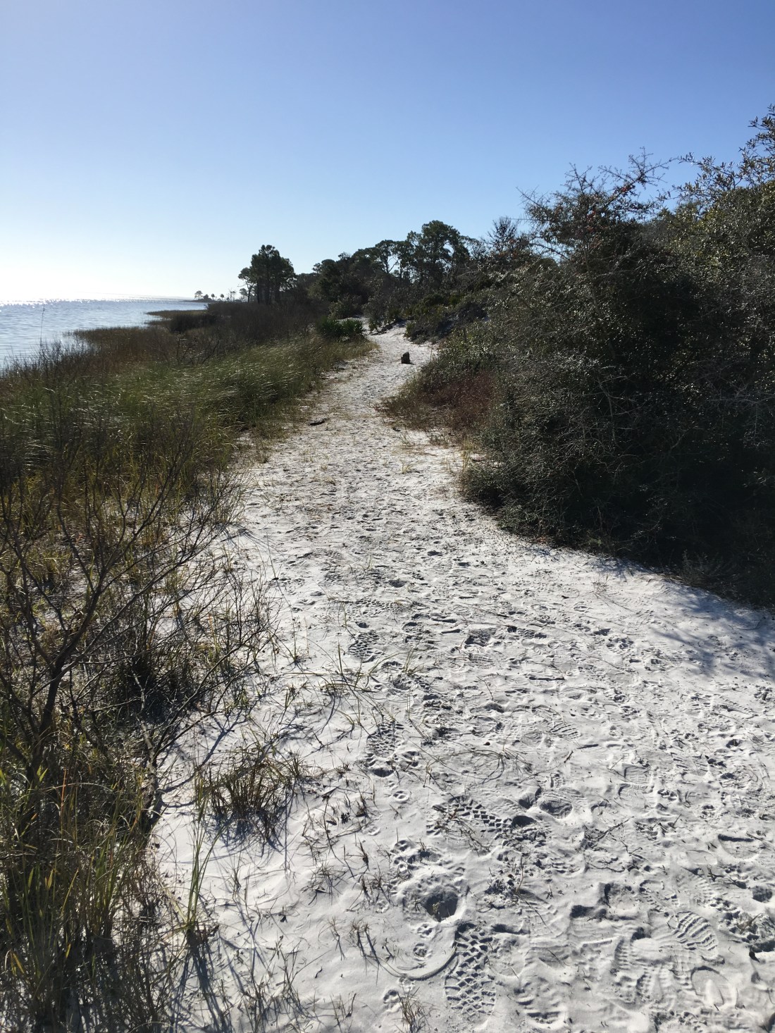 20170111_154134403_iOS