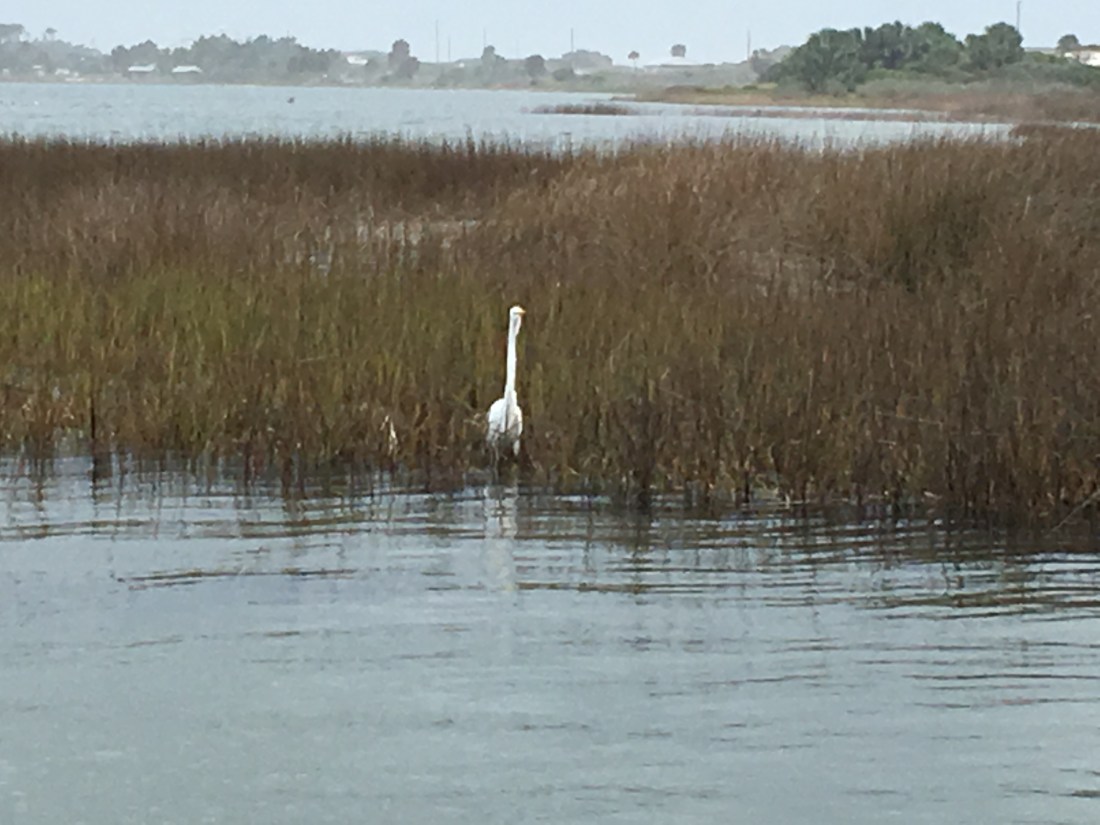 20170121_205708053_iOS