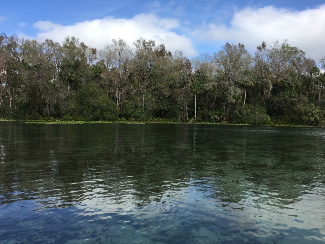 20170205_190543359_iOS