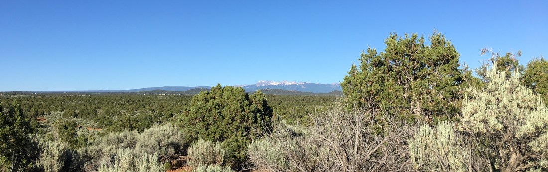 20160618_004254531_iOS