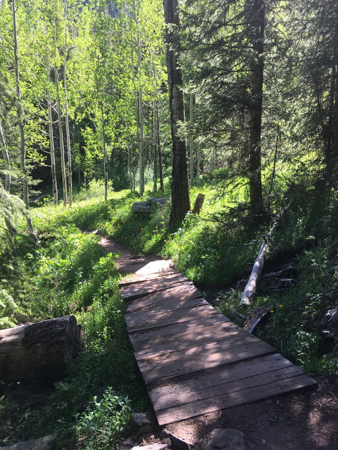 20160619_223652667_iOS