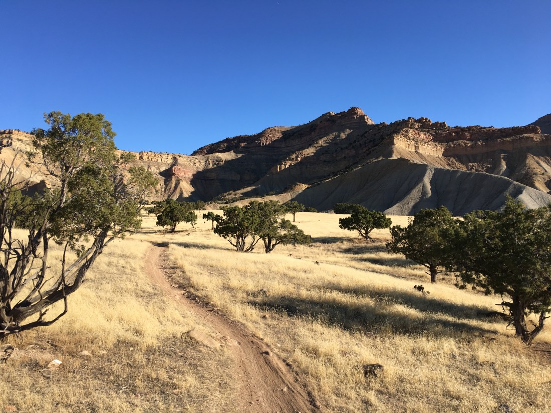 20161102_155238597_iOS