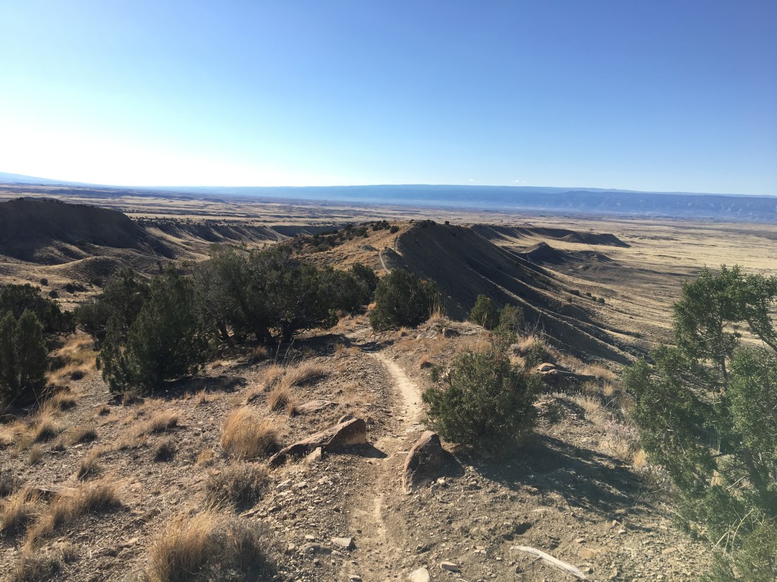 20161102_161404205_iOS