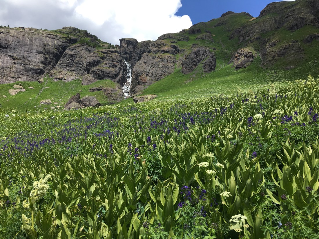 20170718_183516264_iOS