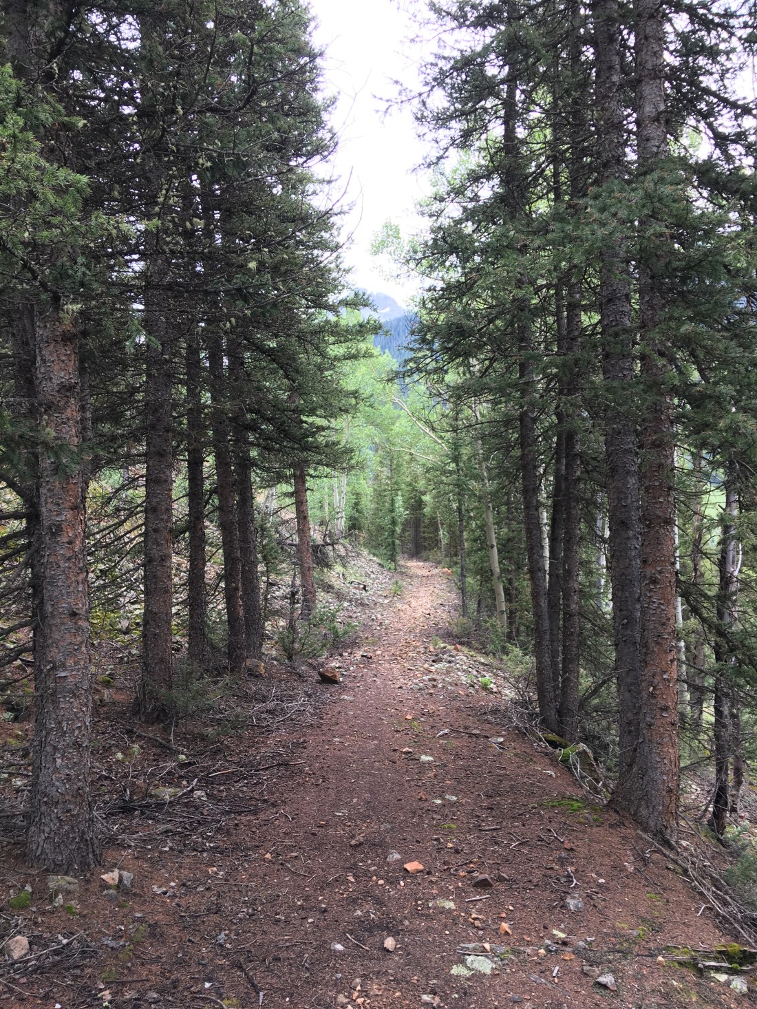 20170730_175059216_iOS