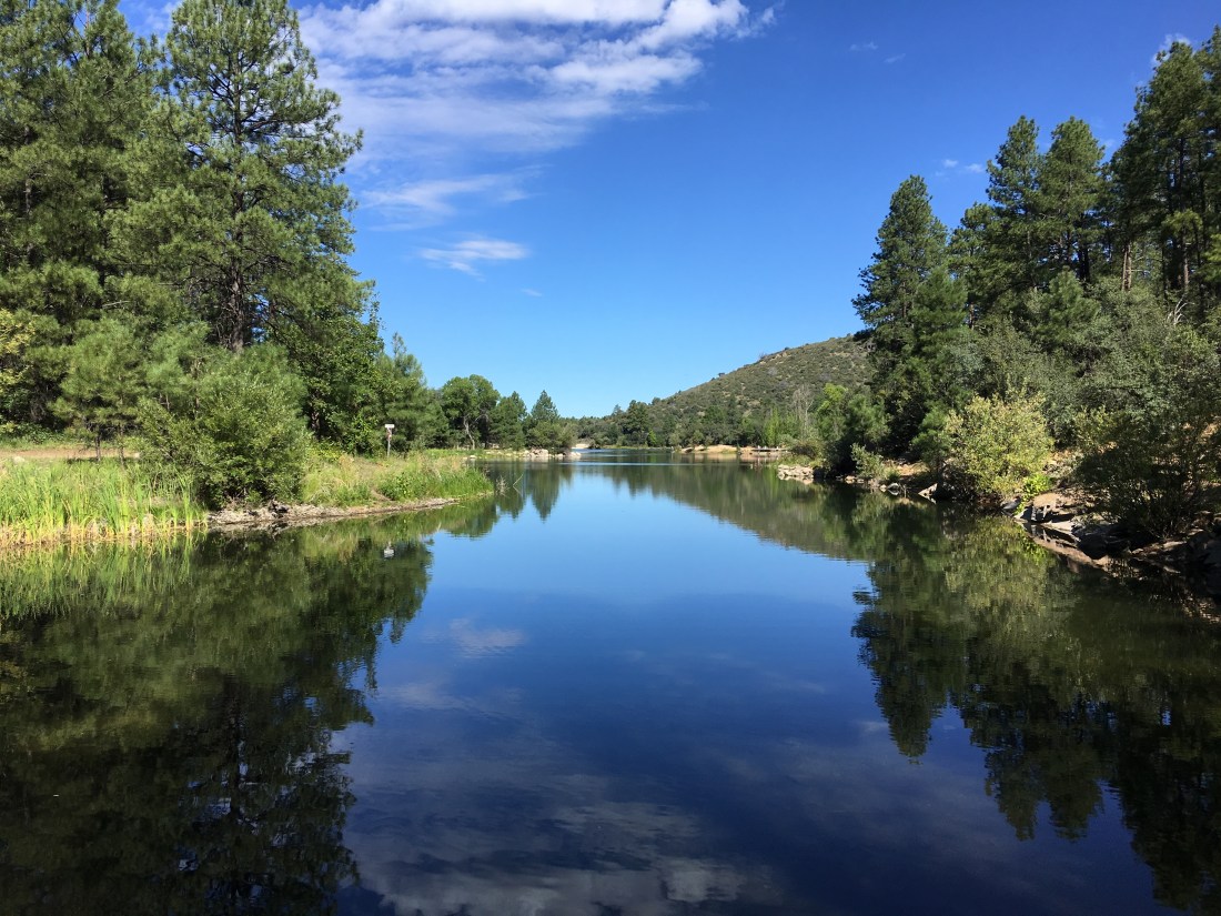 20170819_163243932_iOS