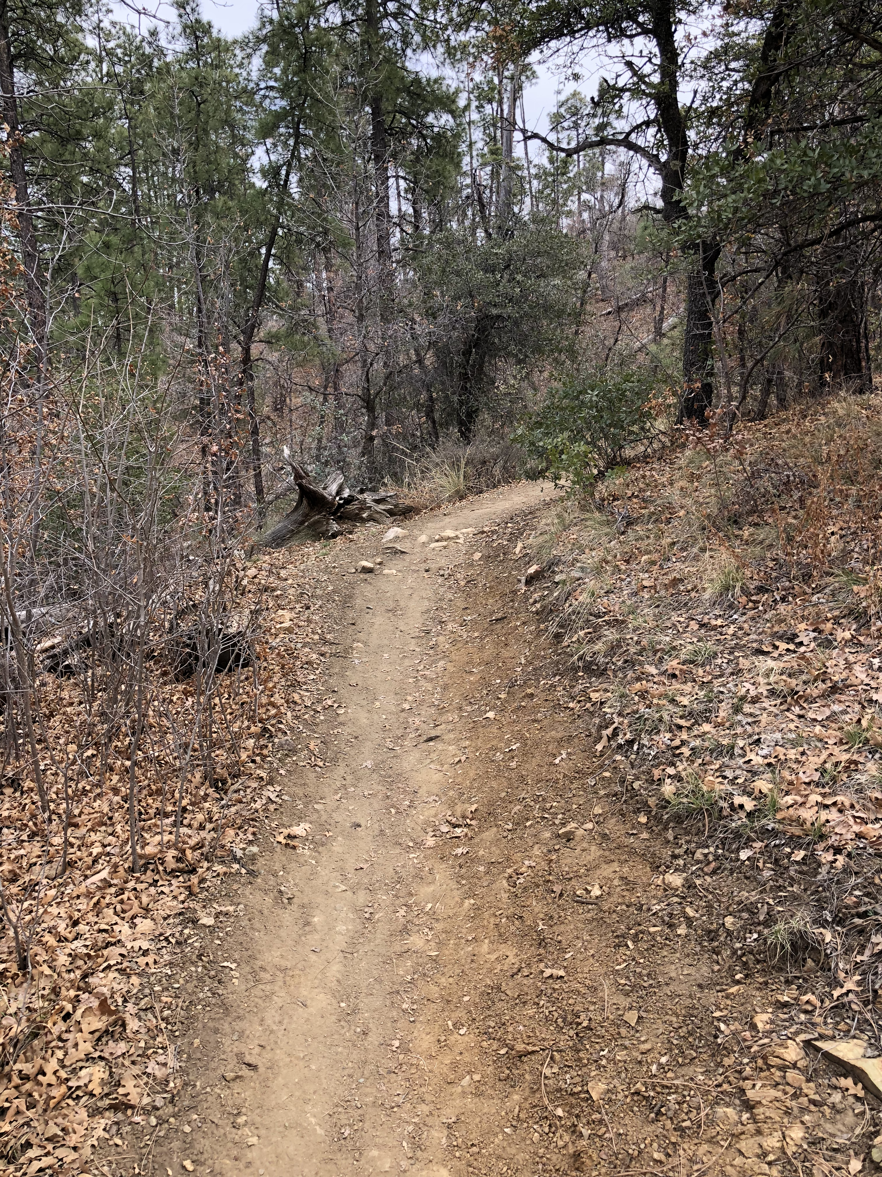 20180404_215608989_iOS