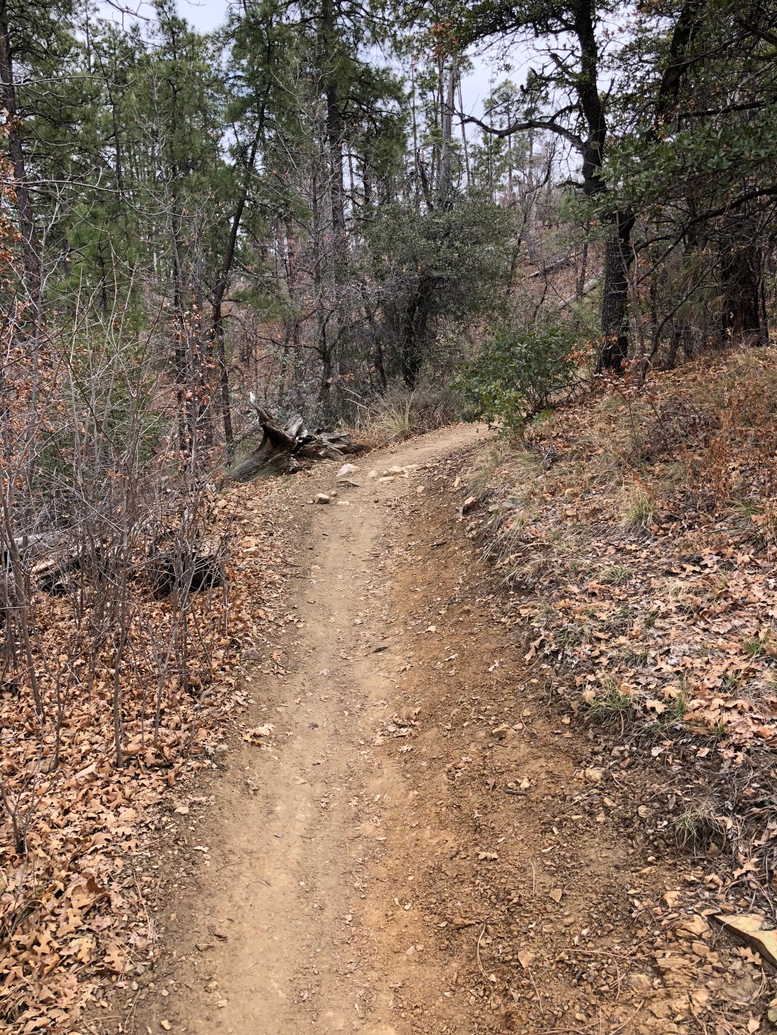 20180404_215608989_iOS