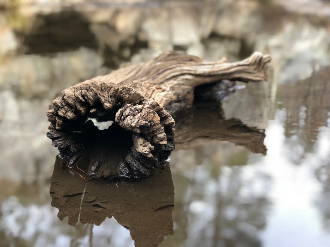 20180404_221834823_iOS