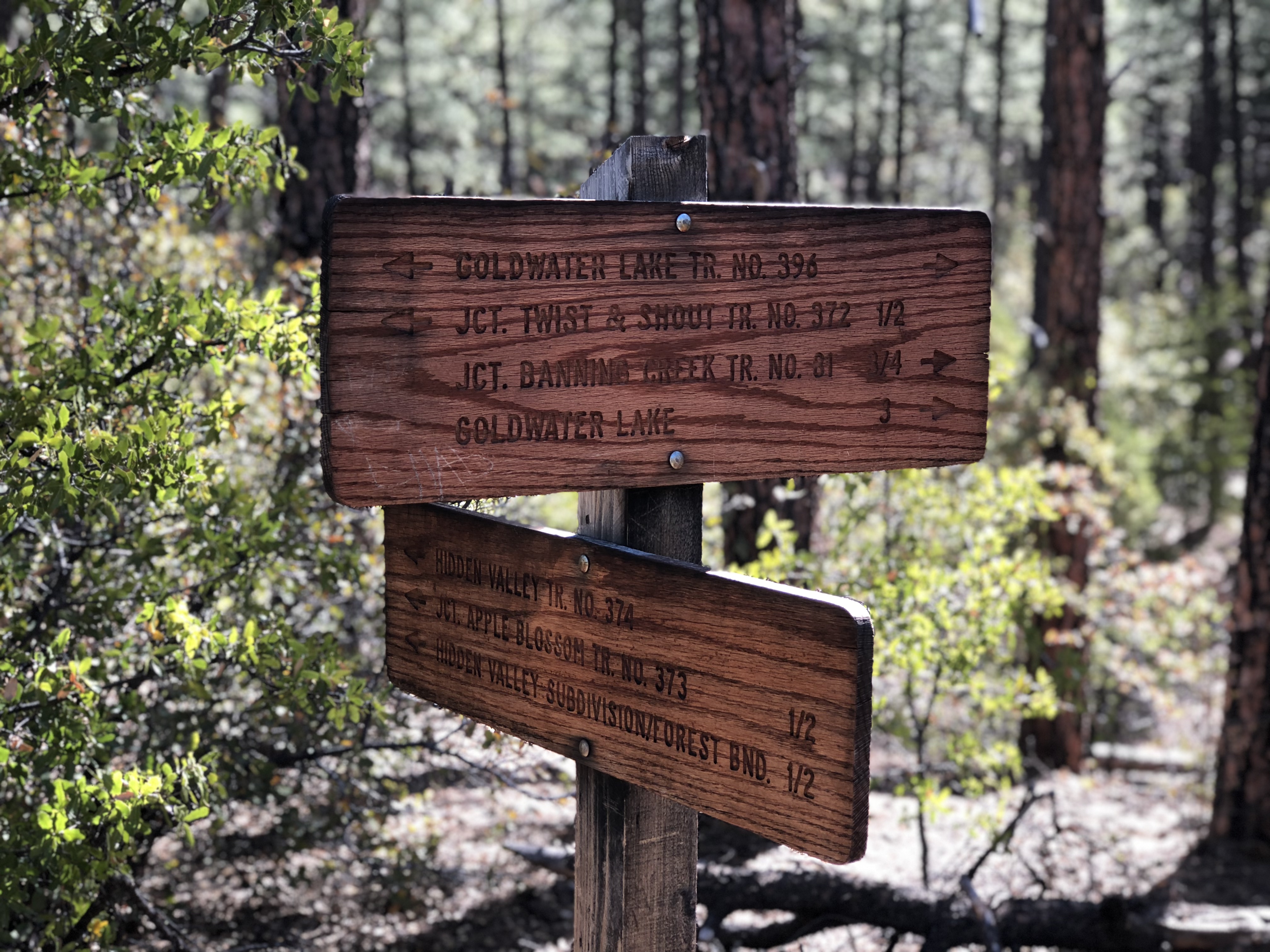 20180407_165310578_iOS