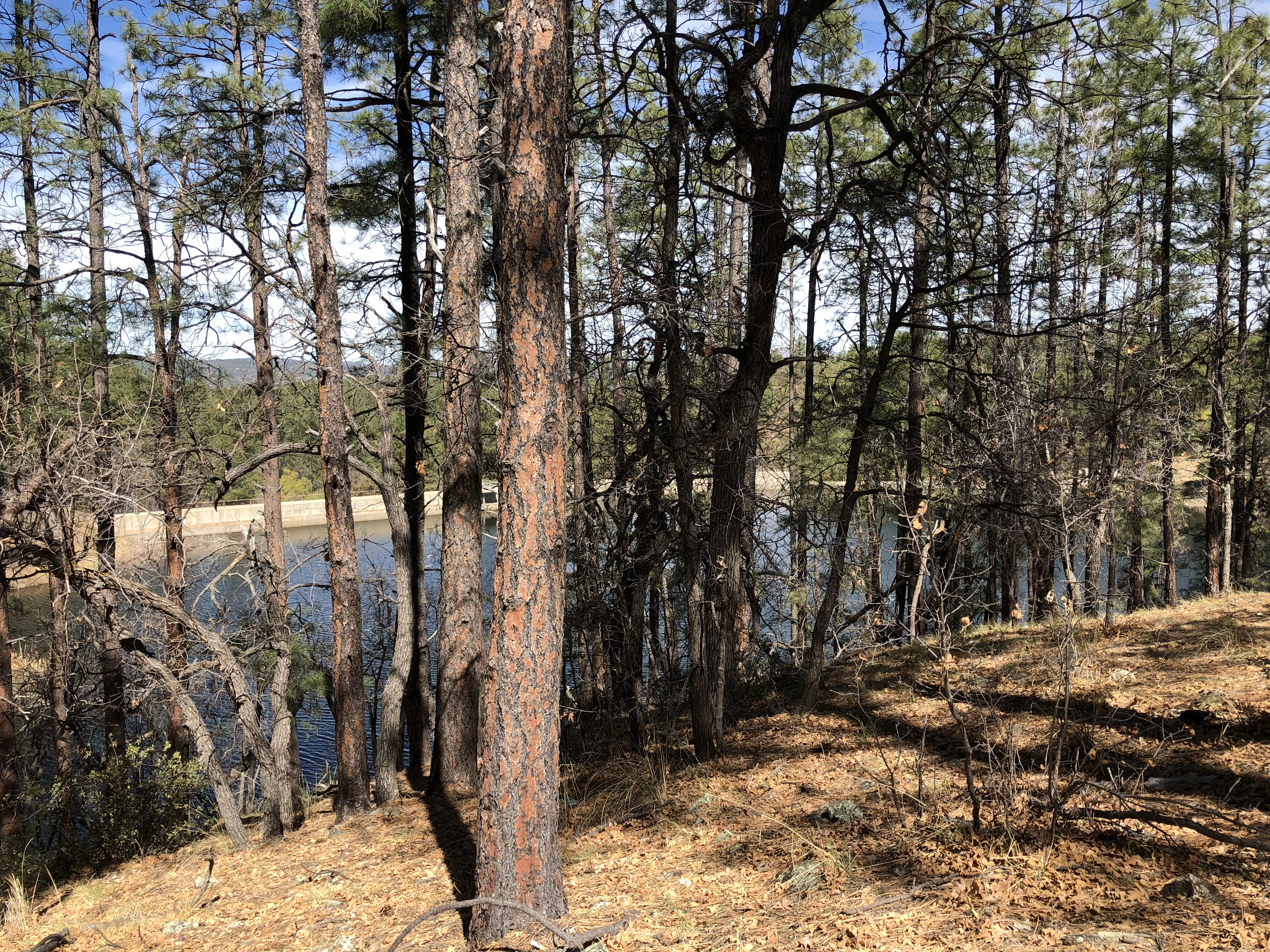 20180407_172102845_iOS