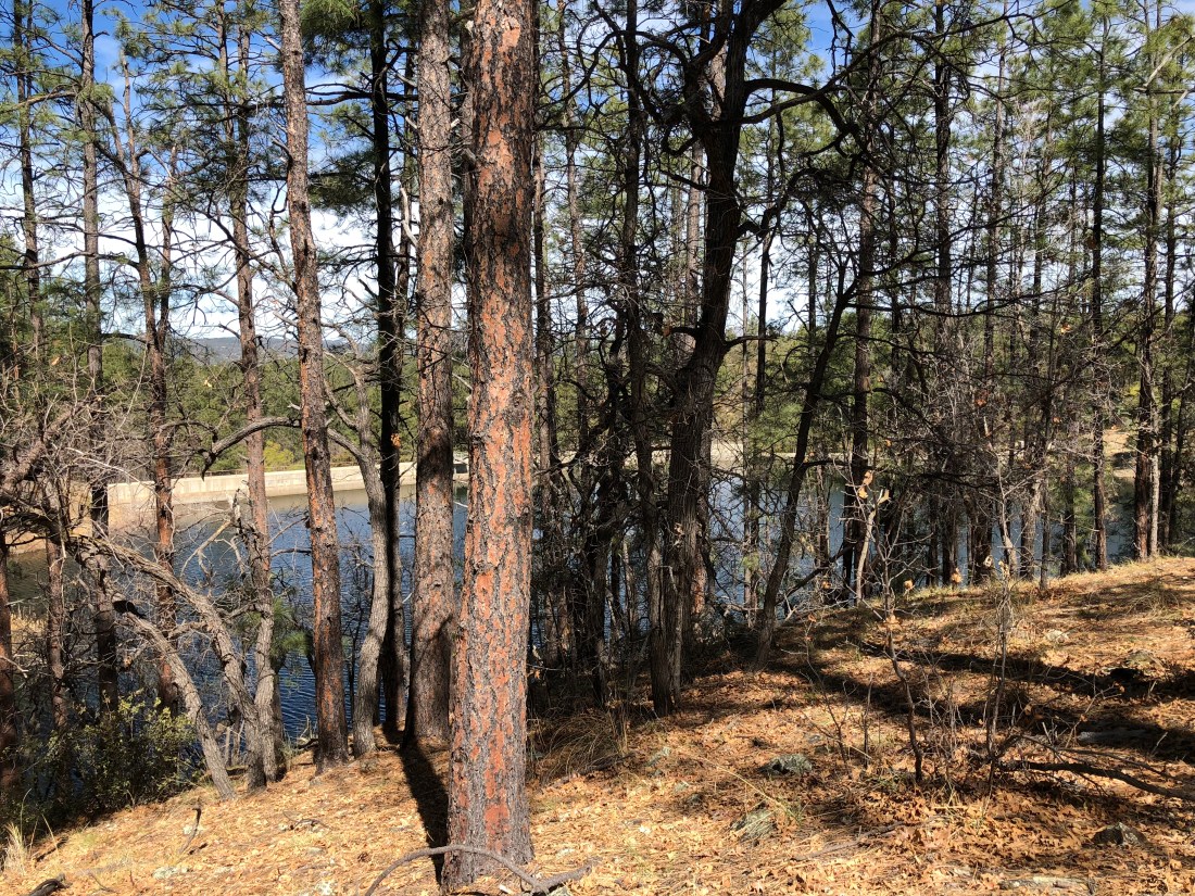 20180407_172102845_iOS