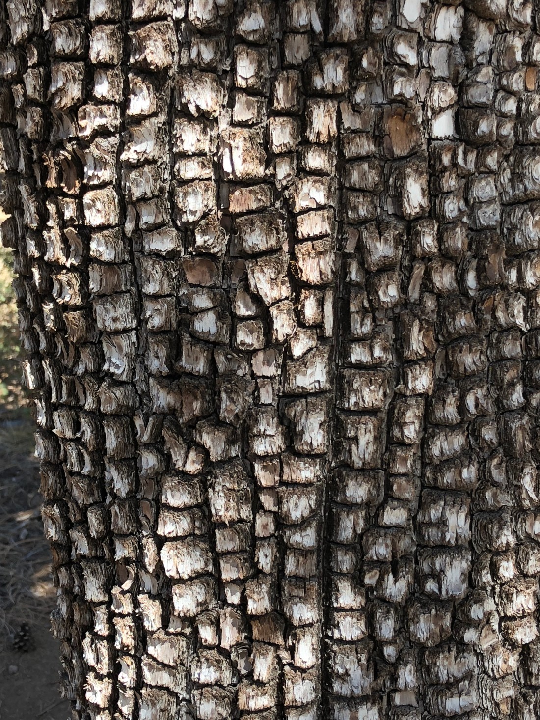 20180407_174949167_iOS