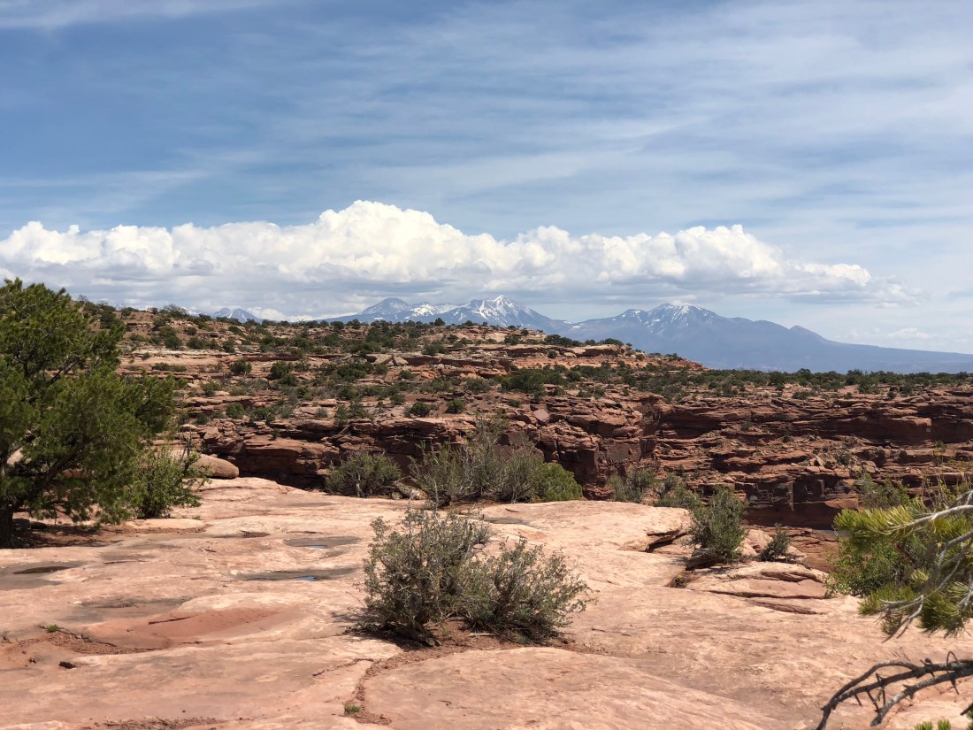 20180422_193858987_iOS