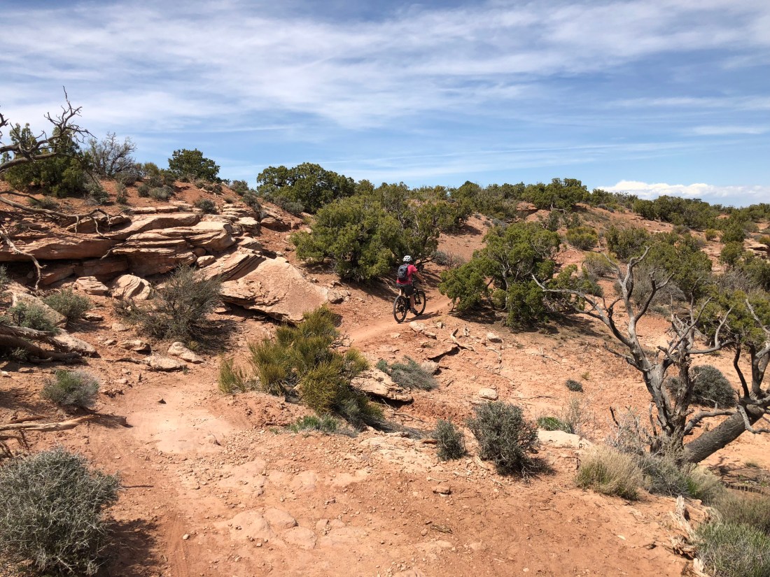 20180422_201916186_iOS