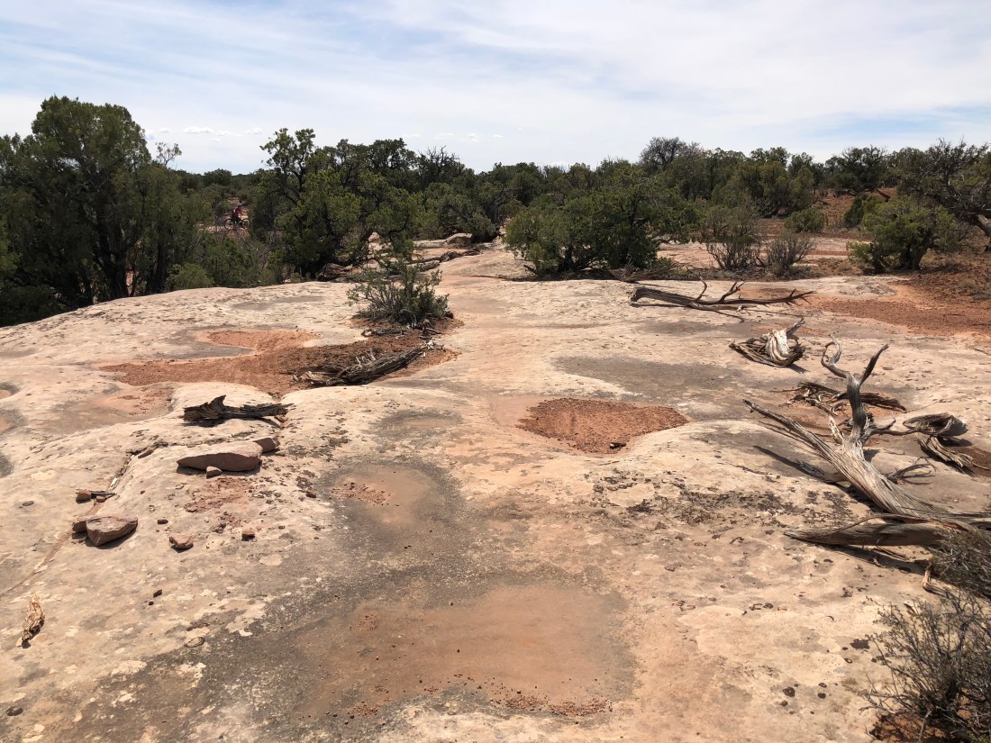 20180422_205255740_iOS