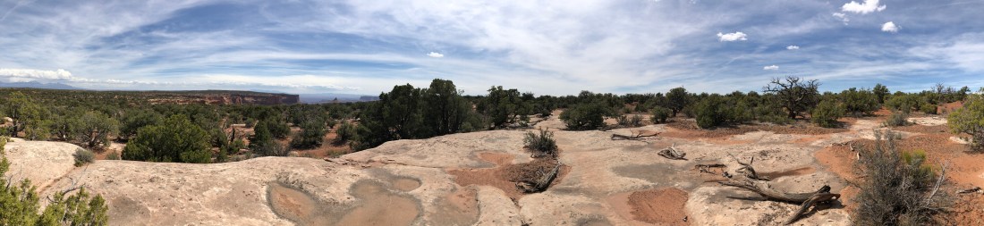 20180422_205320759_iOS