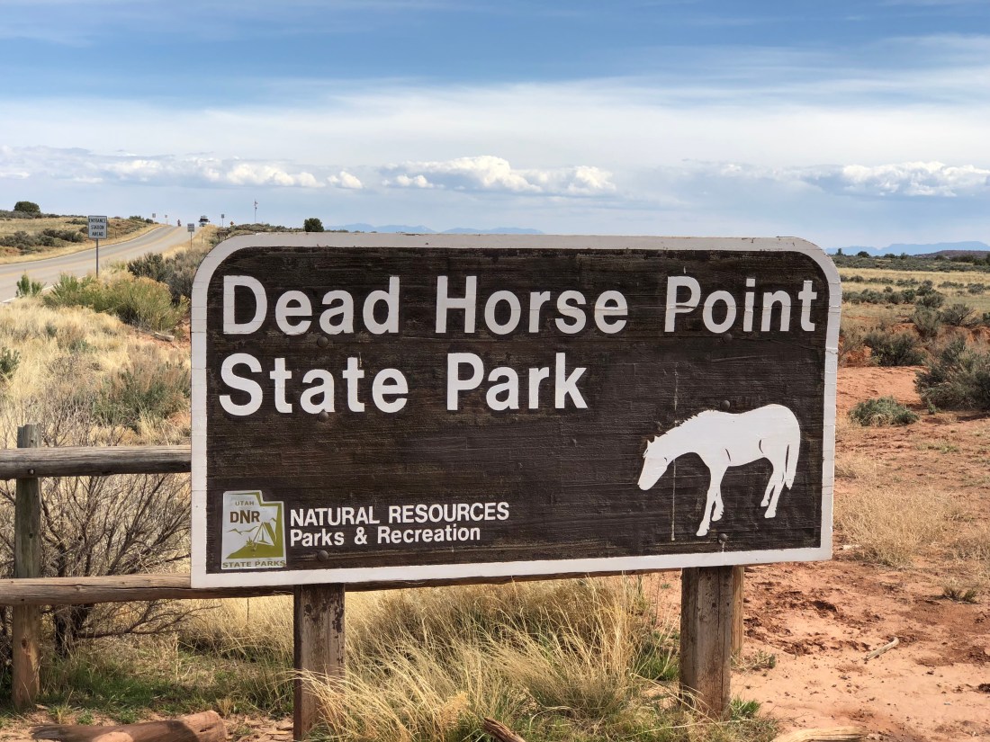 20180422_221113240_iOS