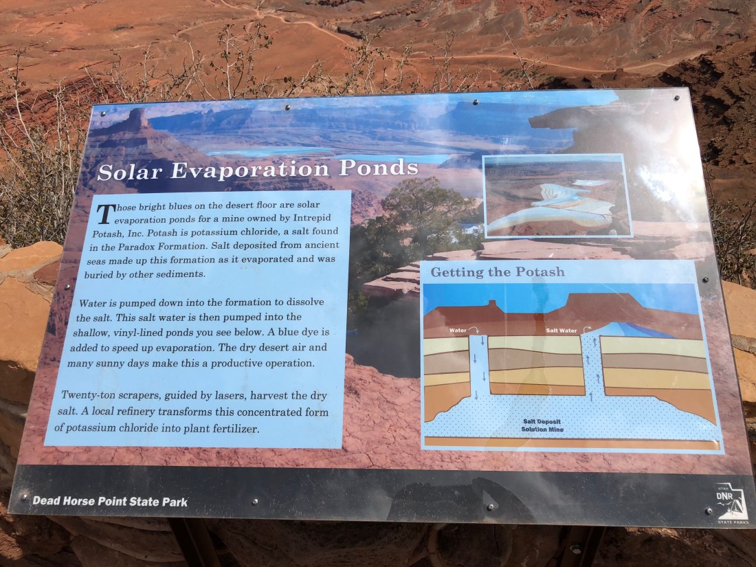 20180424_193742479_iOS