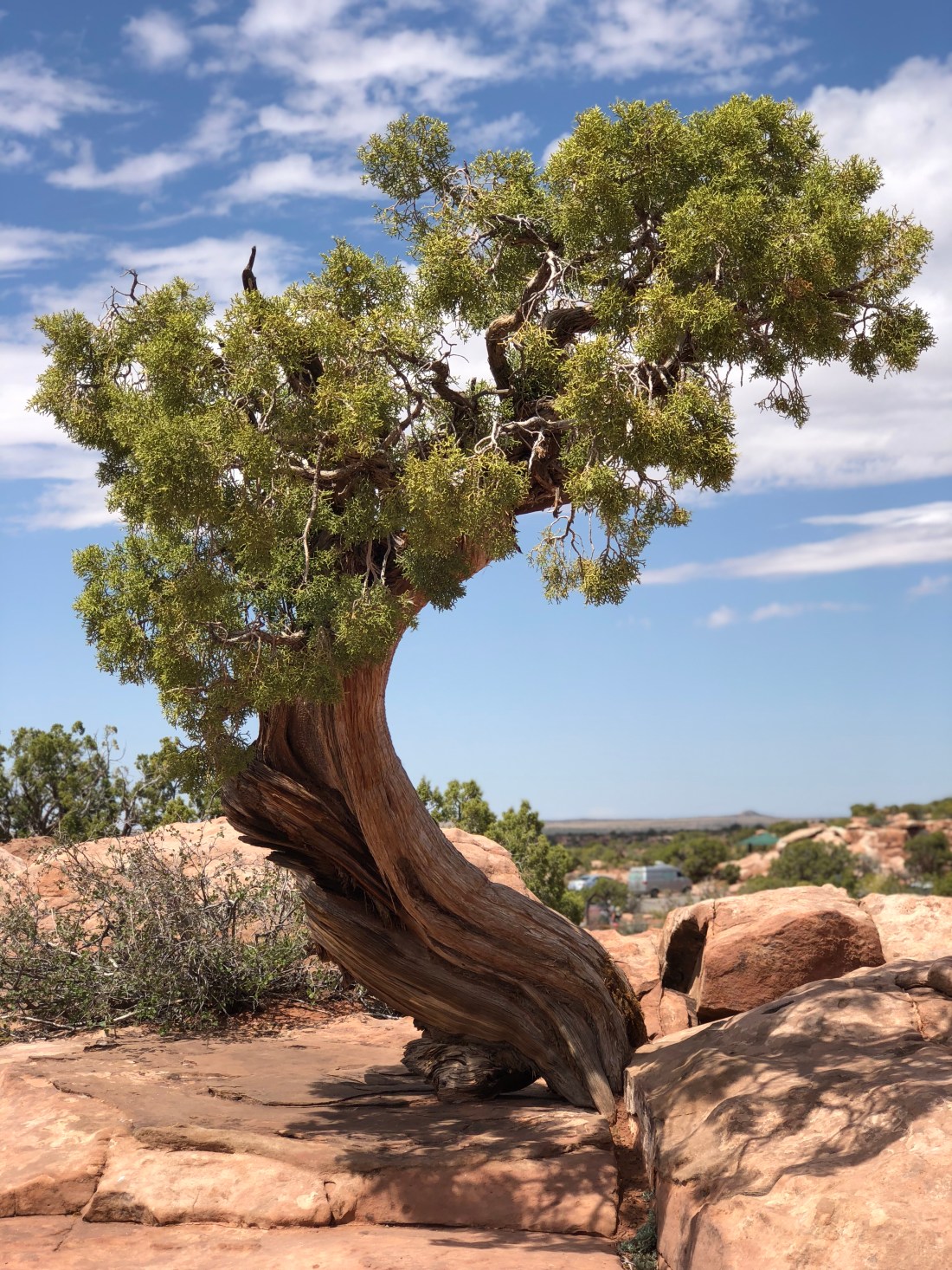 20180424_193939888_iOS