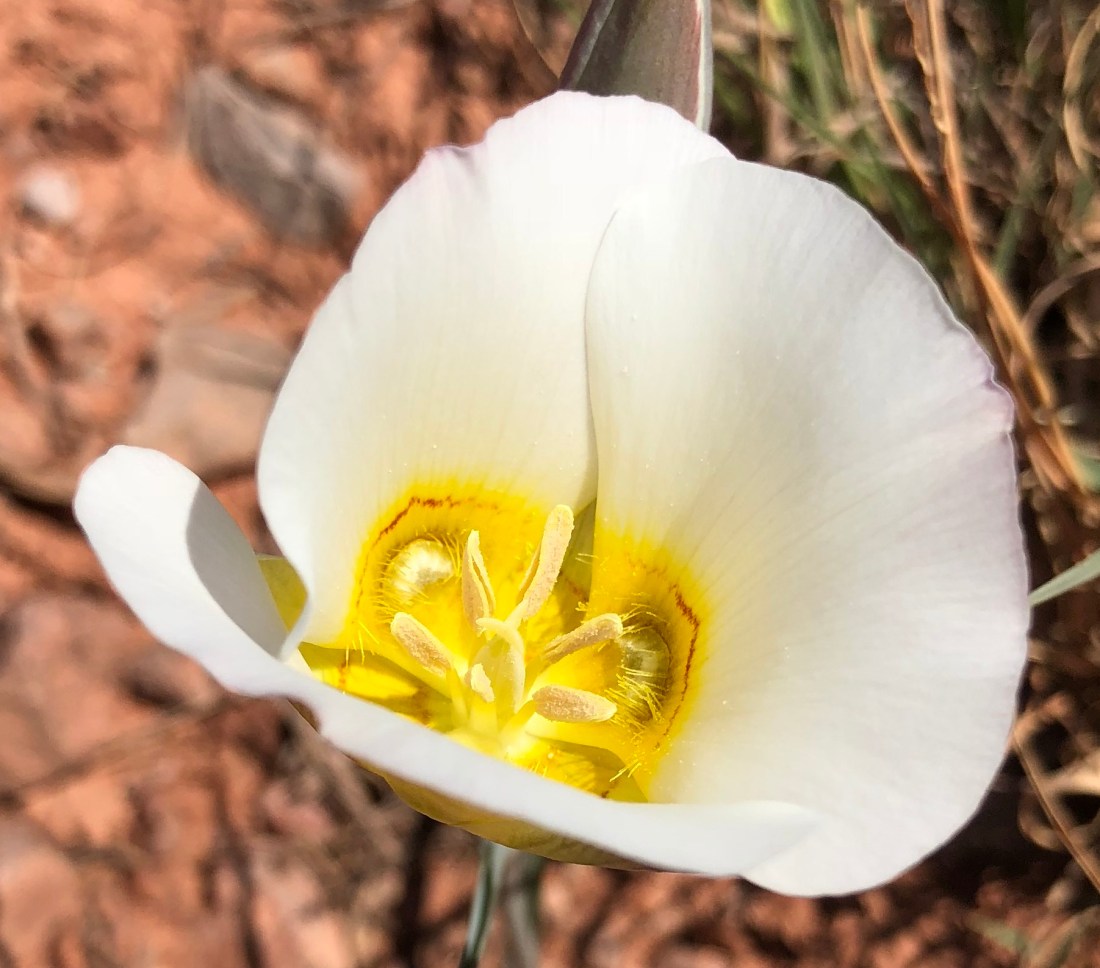 20180425_185624733_iOS