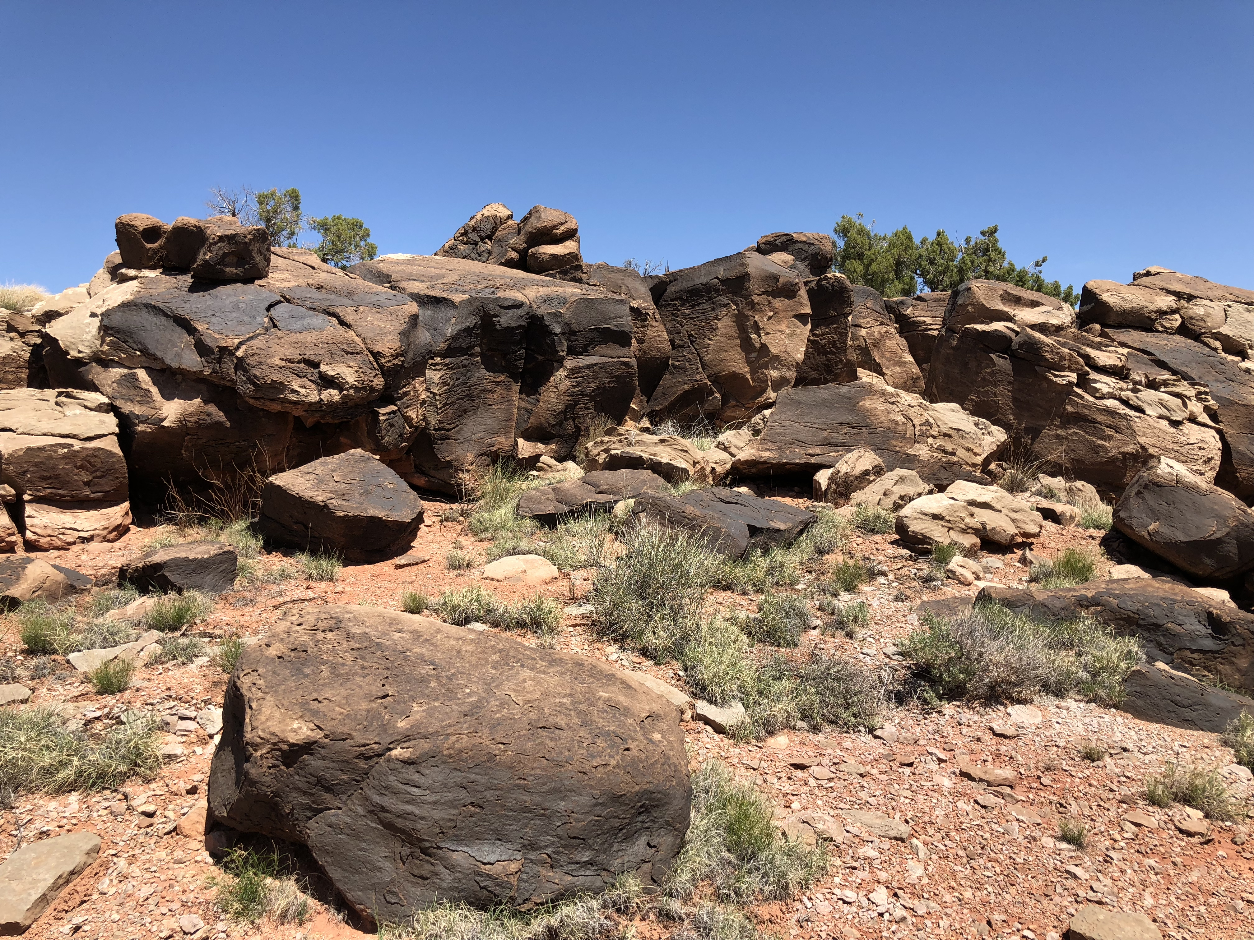 20180425_190014173_iOS