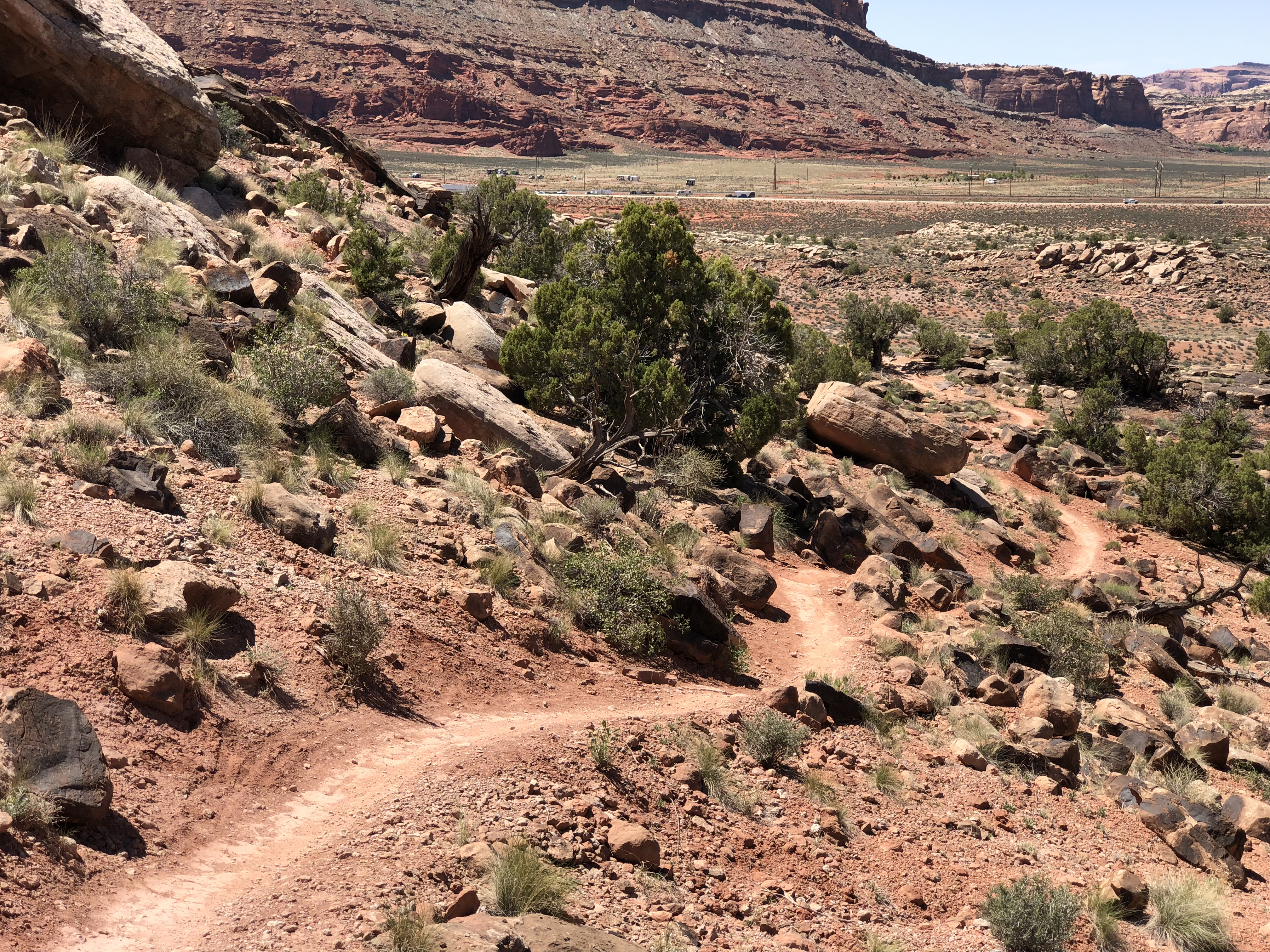 20180425_190318527_iOS