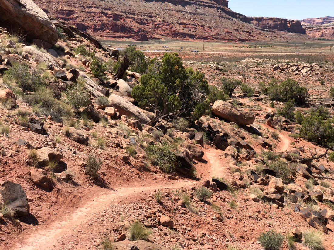 20180425_190318527_iOS