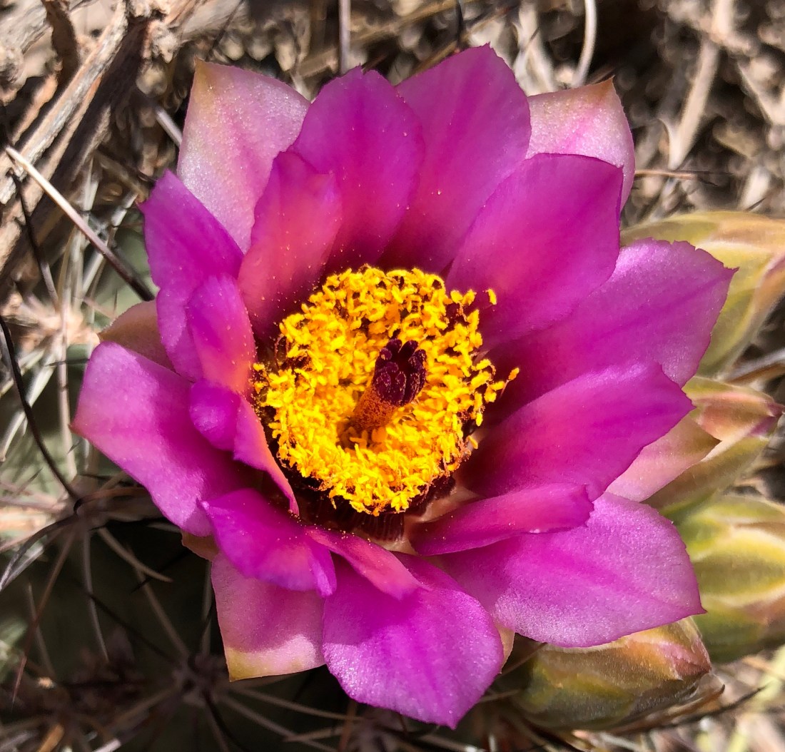 20180425_190611071_iOS