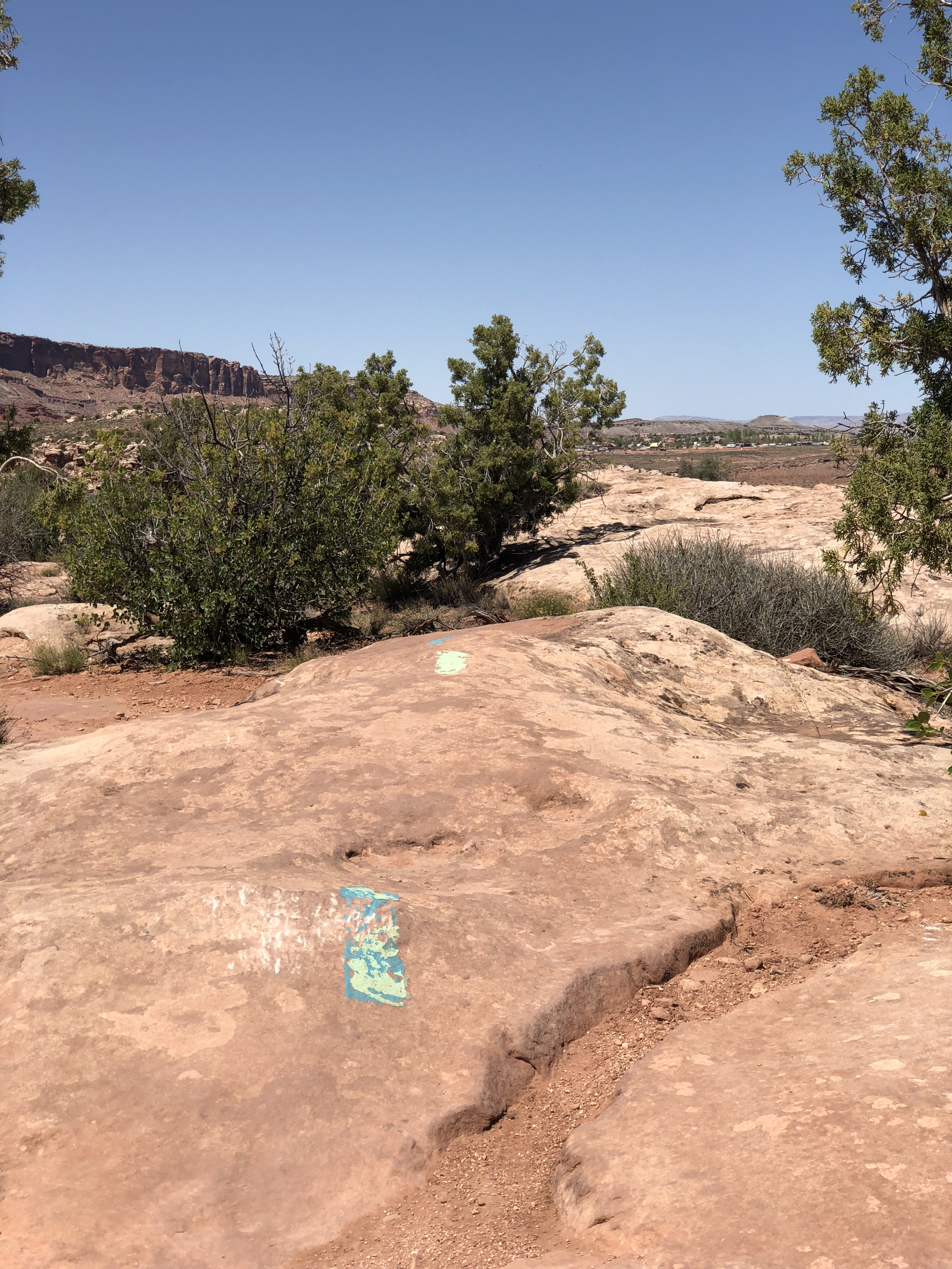 20180425_191711658_iOS