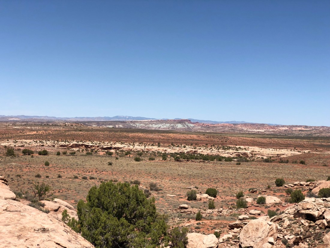 20180425_191725222_iOS