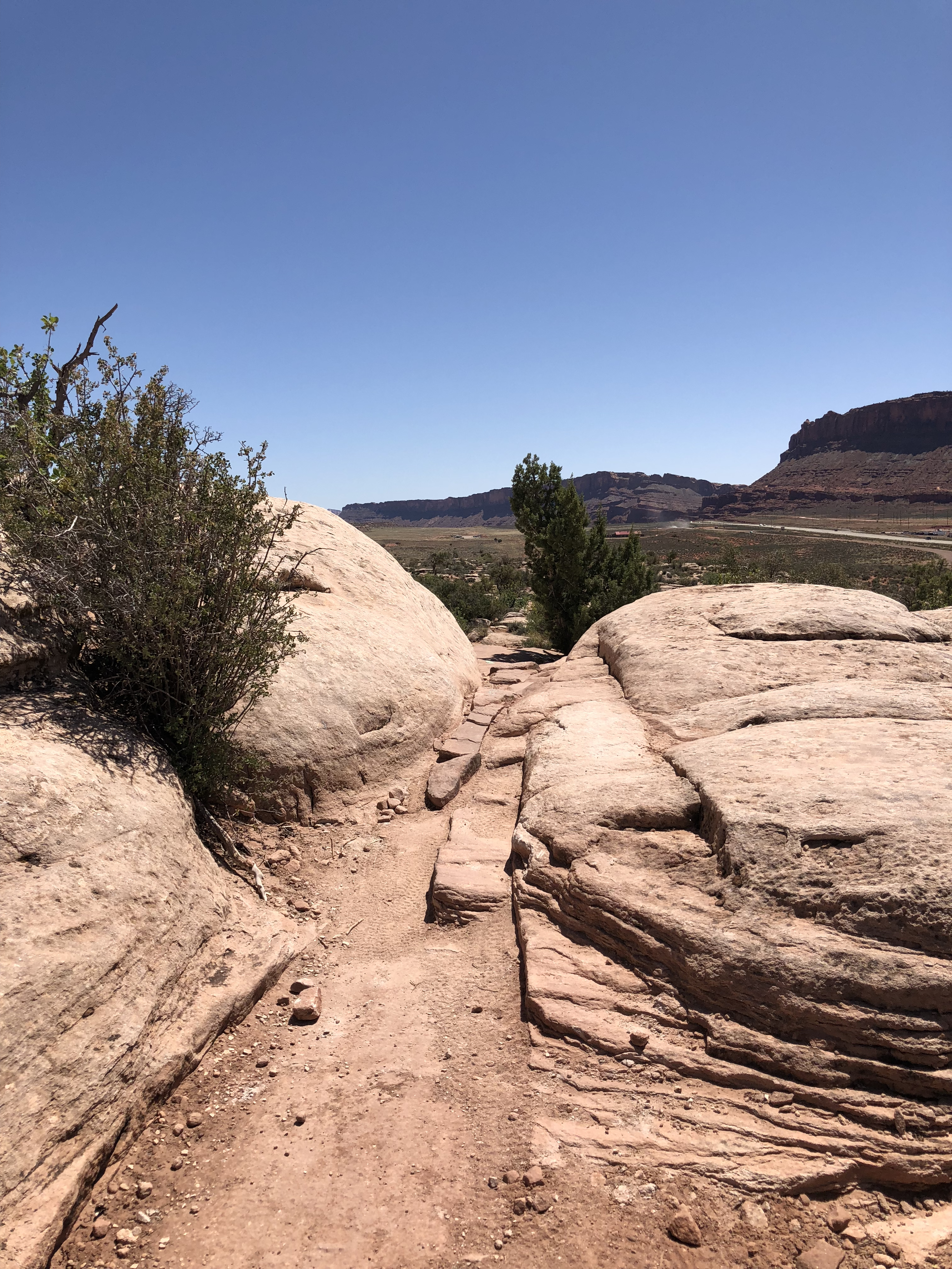 20180425_192921416_iOS