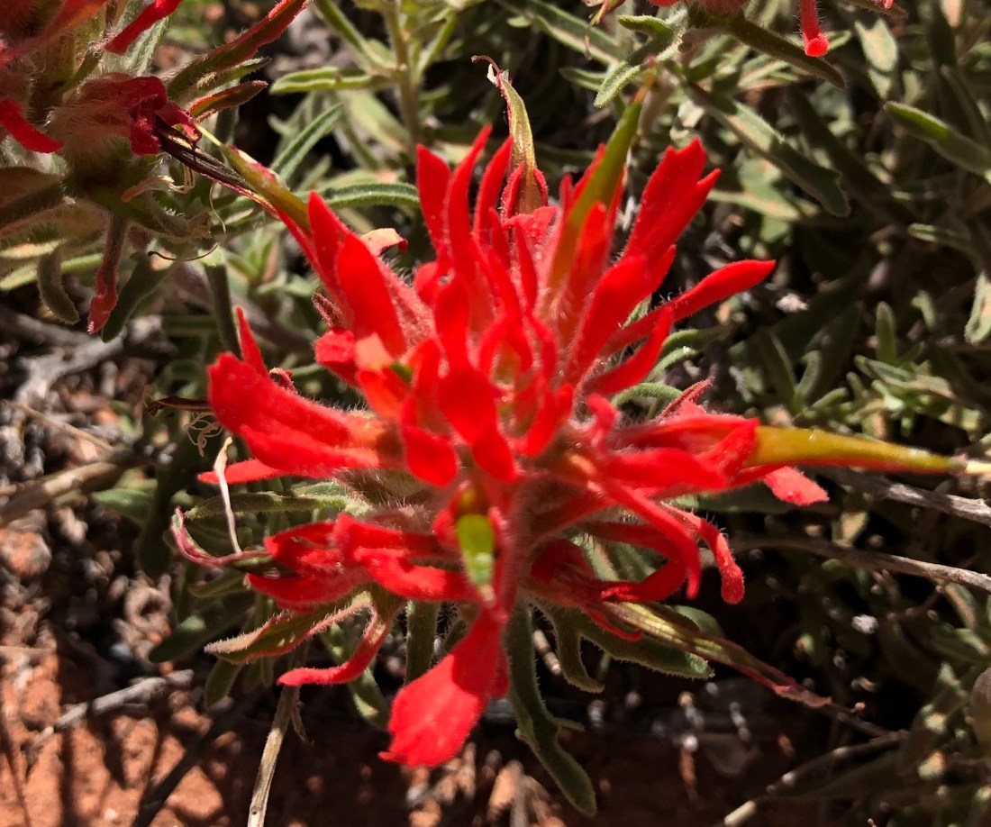 20180425_193645017_iOS